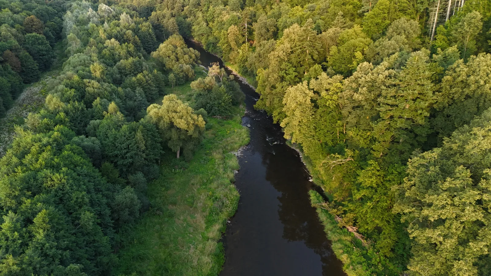 Drohnenaufnahme des Kamp im Waldviertel